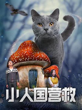 猪猪侠ip于2005年诞生，其萌趣可爱的形象、有勇有谋的